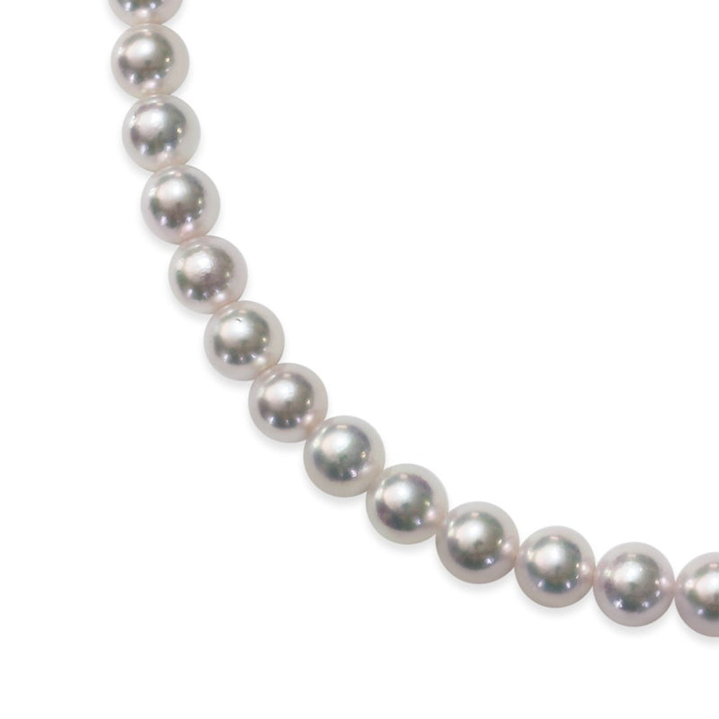 8.0～8.5㎜ 耳环或耳环套件teri：B卷：B Kizu：b -tensei珍珠在线商店Tenari Pearl官方邮购商店